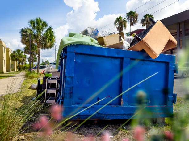 Best Household Junk Removal  in Mineral Springs, AR